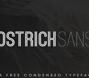 Ostrich-Sans